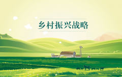 有效銜接，做好鄉(xiāng)村振興大文章